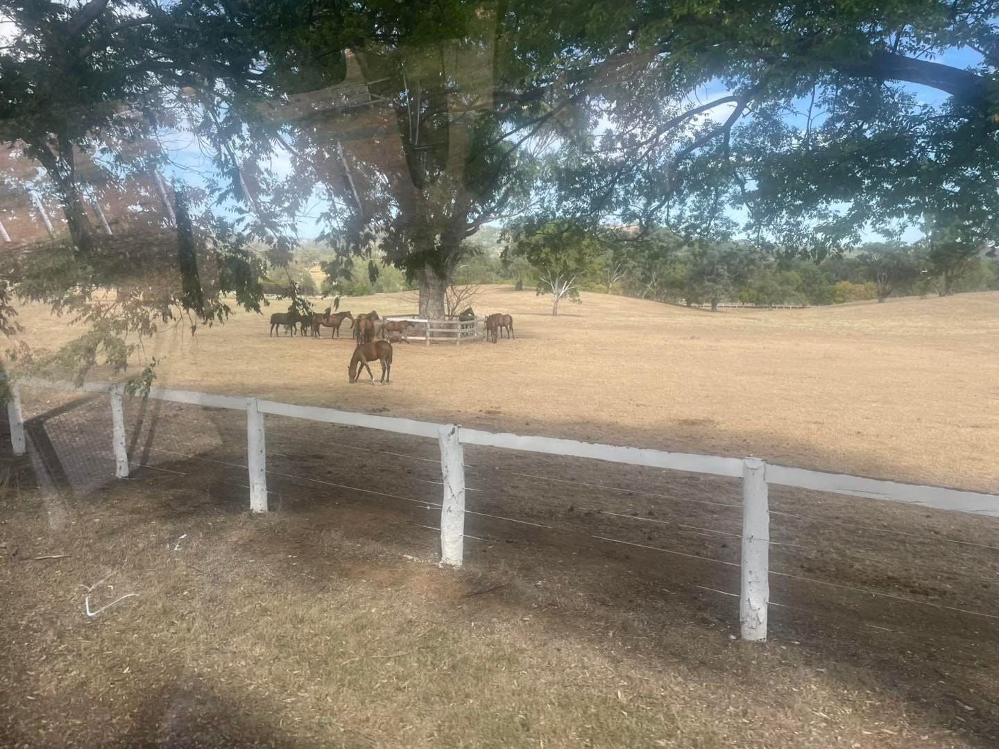 Dubbo Zoo 2025 Image -67de04ce45286